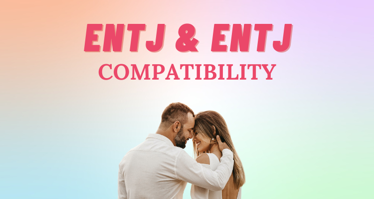 Entj And Entj Relationship Compatibility I So Syncd