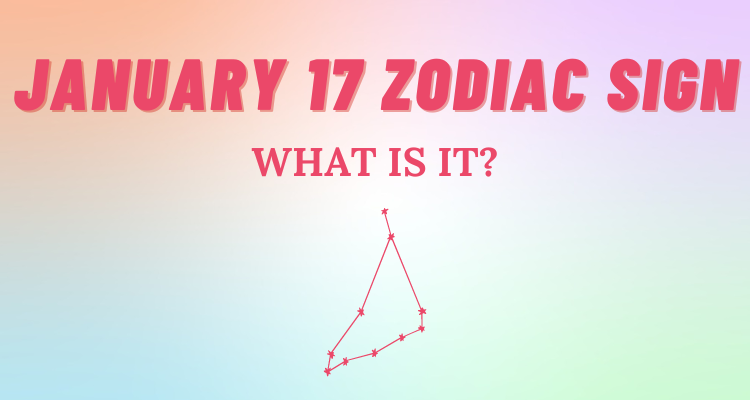 January Zodiac Sign Explained So Syncd