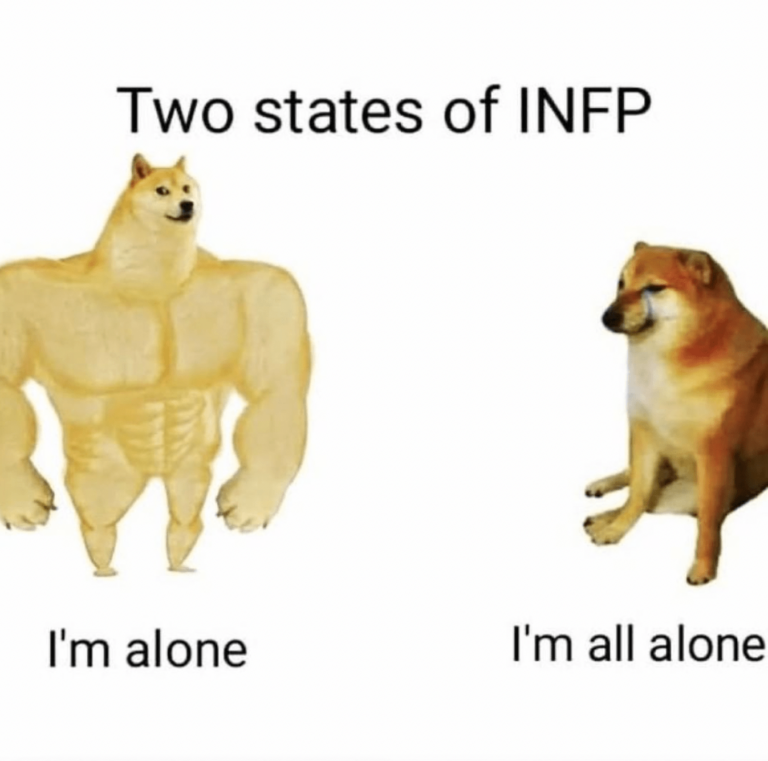 28 Funny Memes Any INFP Will Relate To | So Syncd