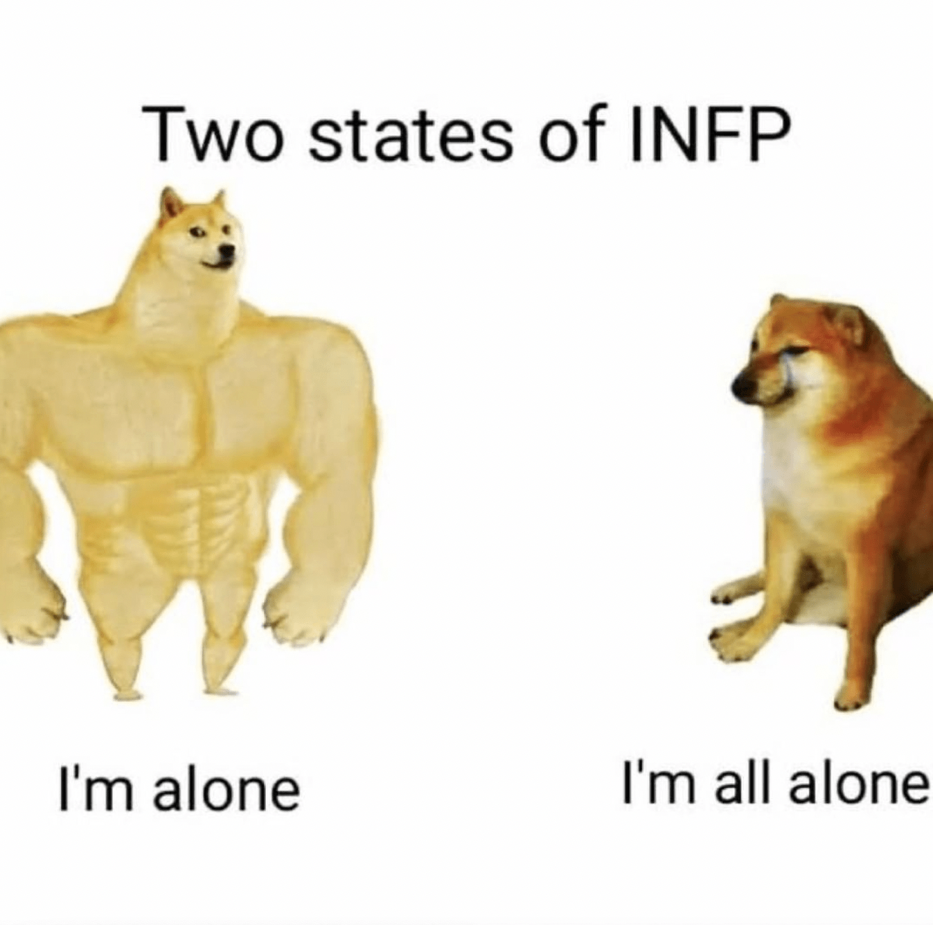 Funny INFP Memes - INFP lonely