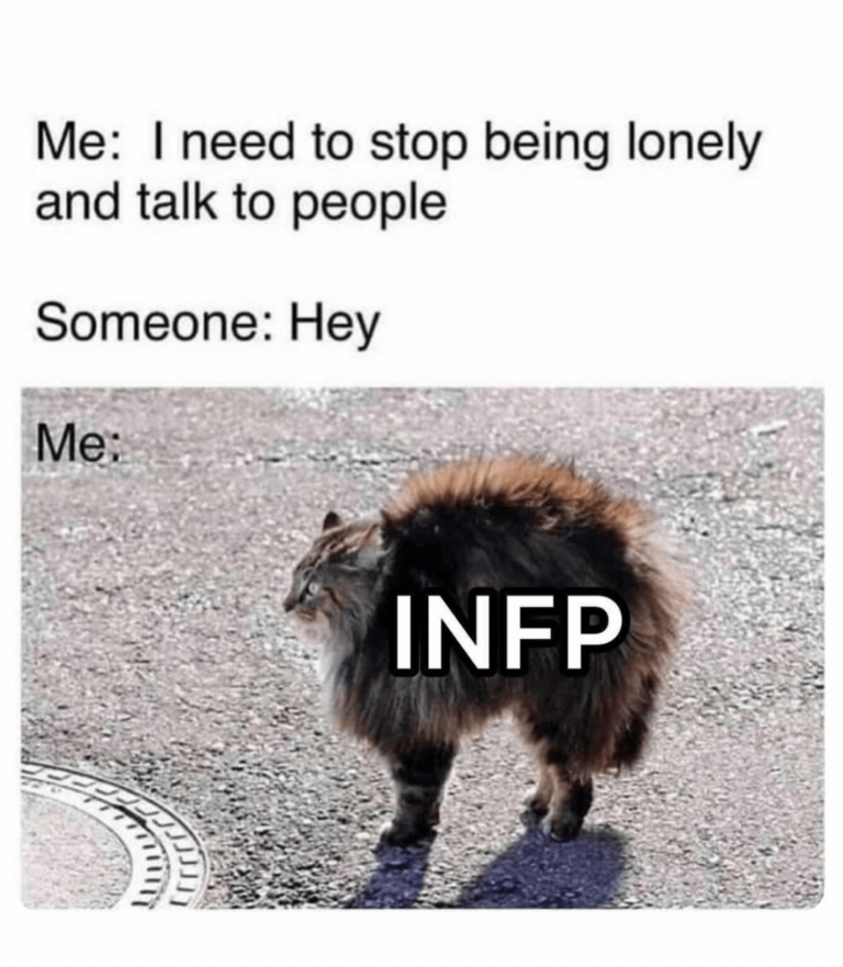 Funny Memes Any Infp Will Relate To So Syncd