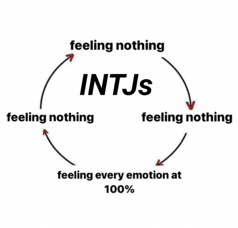 28 Funny Memes Any INTJ Will Relate To | So Syncd