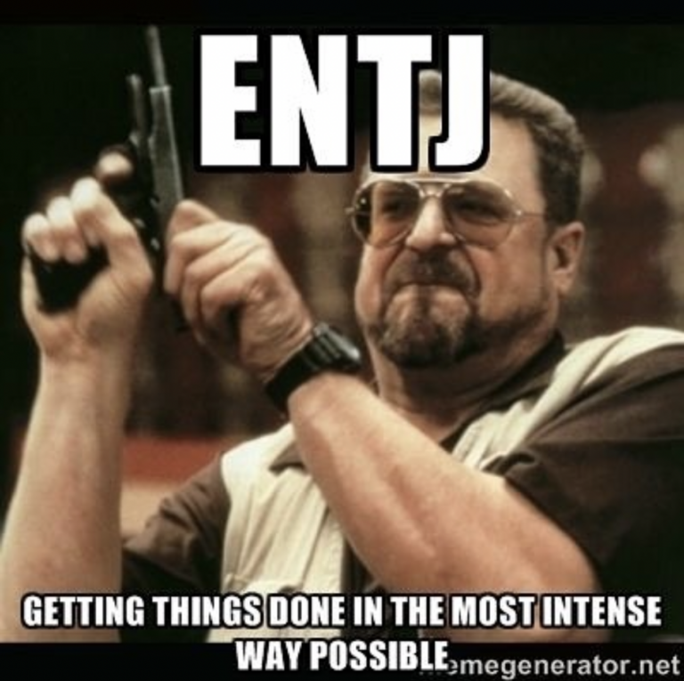 28 Funny Memes Any ENTJ Will Relate To | So Syncd