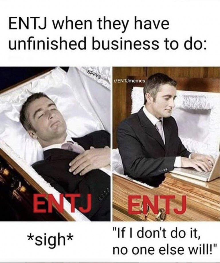 28 Funny Memes Any ENTJ Will Relate To | So Syncd