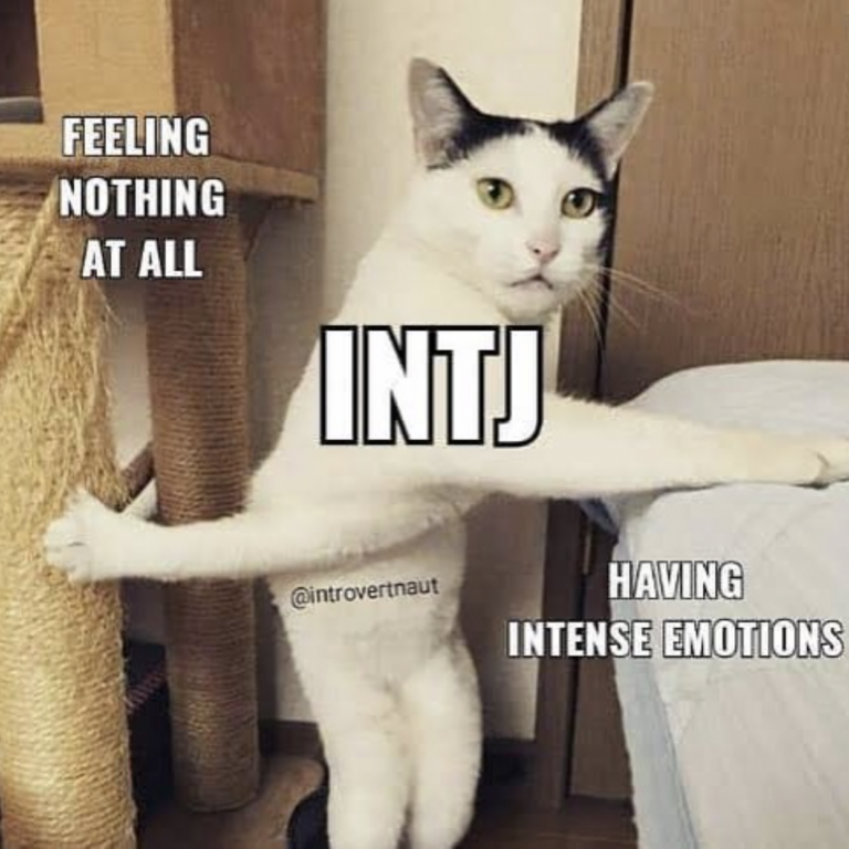 28 Funny Memes Any INTJ Will Relate To | So Syncd