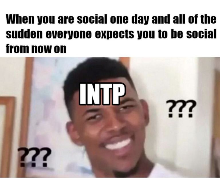 28 Funny Memes Any INTP Will Relate To | So Syncd