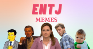 28 Funny Memes Any ENTJ Will Relate To | So Syncd