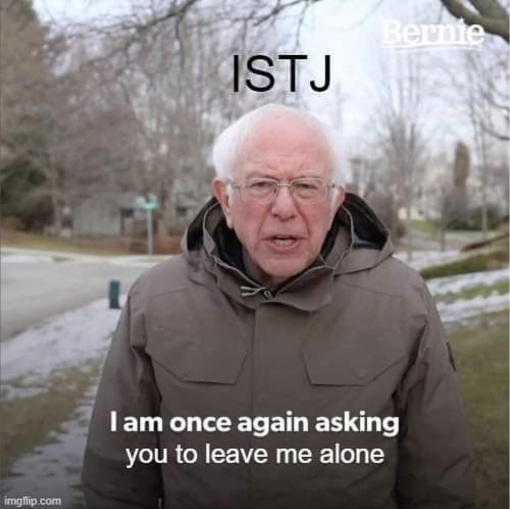 ISTJ Meme - leave me alone bernie