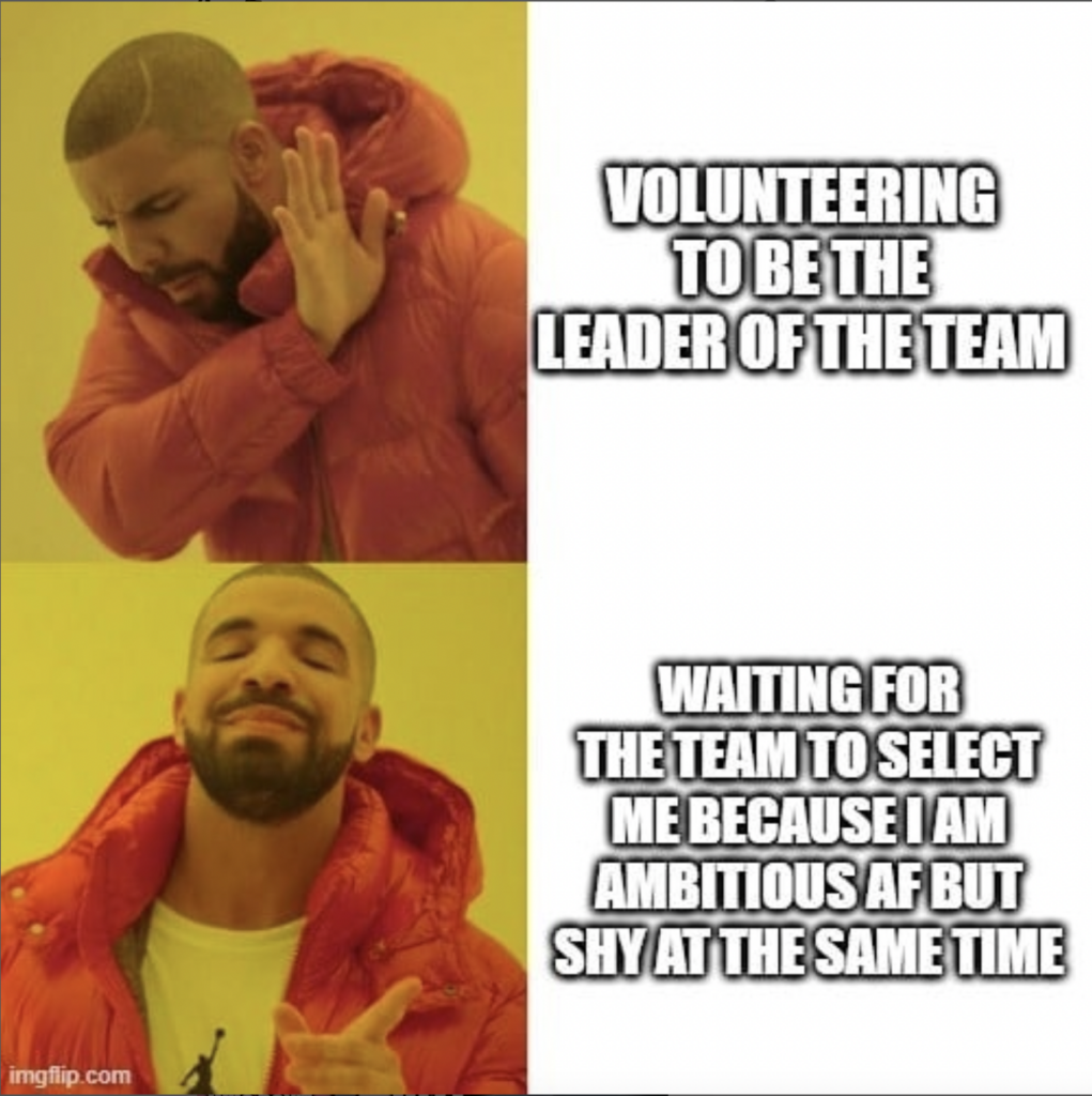 wanting to be the team leader but too shy - personality type