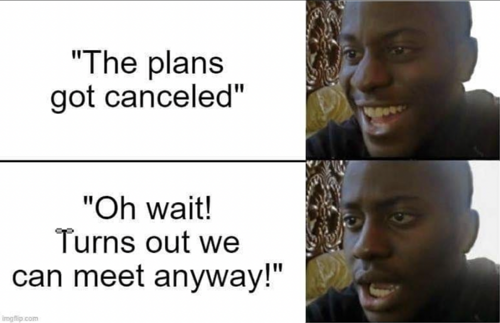 ISTJ meme - cancelled plans