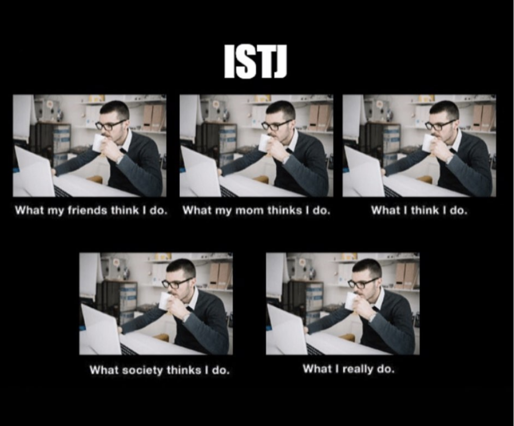 ISTJ meme - what my friends think i do