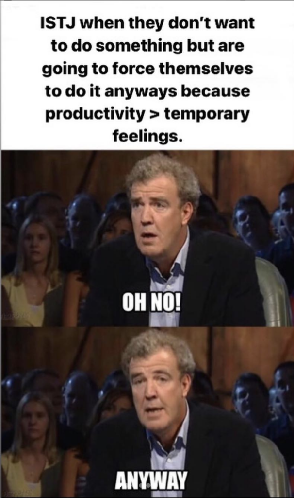 ISTJ meme - productivity over comfort