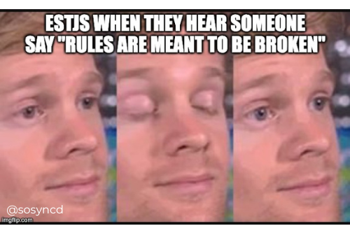 ESTJ Meme - follow the rules