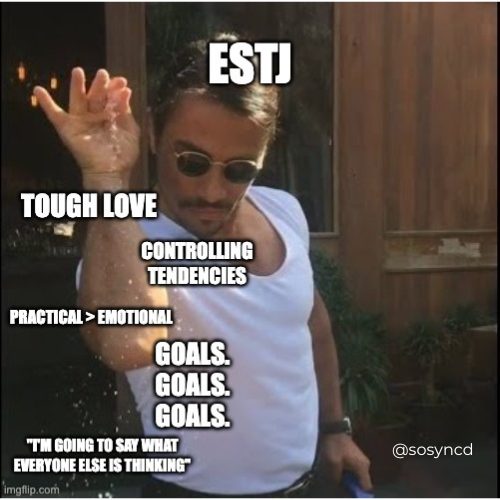 ESTJ Meme - goal orientated controlling tough love