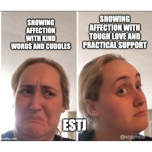 ESTJ Meme - tough love