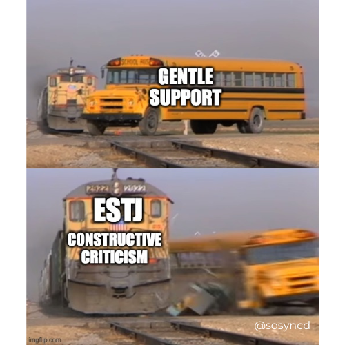 ESTJ Meme - constructive criticism