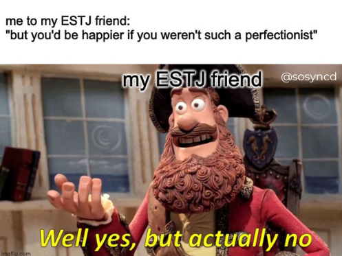 ESTJ Meme - perfectionist