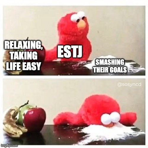 ESTJ Meme - chasing goals