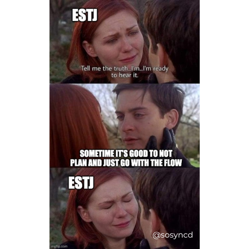 ESTJ Meme - controlling and planning