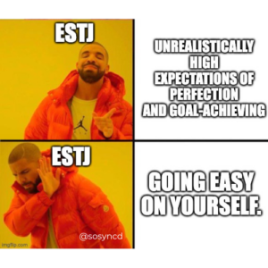 28 Funny Memes Any Estj Will Relate To 