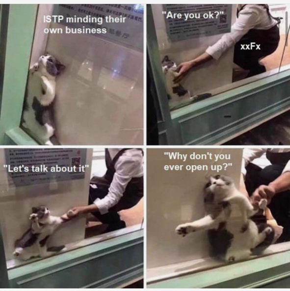 ISTP Meme - don't want to talk about feelings