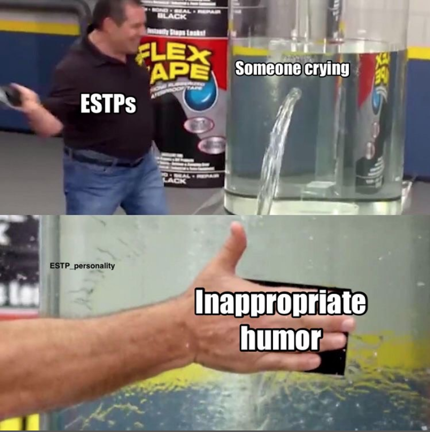ESTP Meme - inappropriate humour