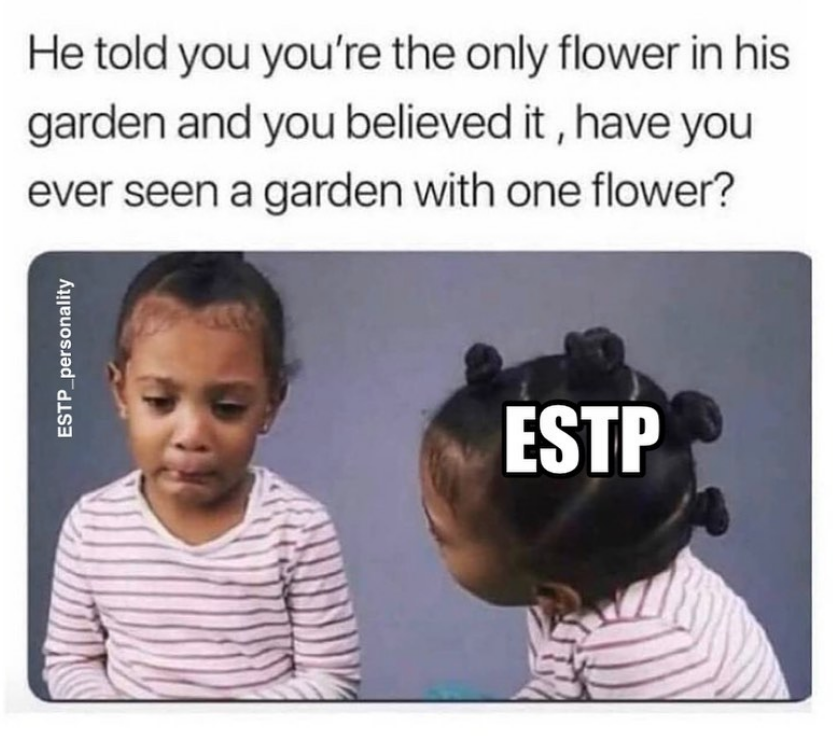 ESTP Meme - brutal advice