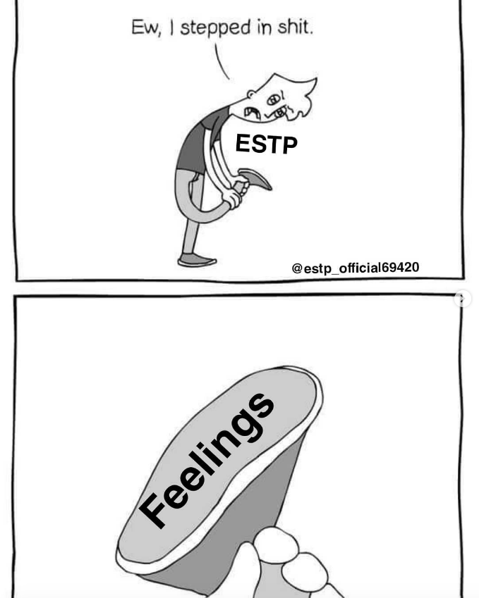 ESTP Meme - hate feelings