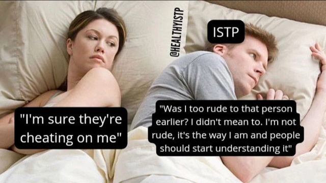 ISTP Meme - honest and brutal