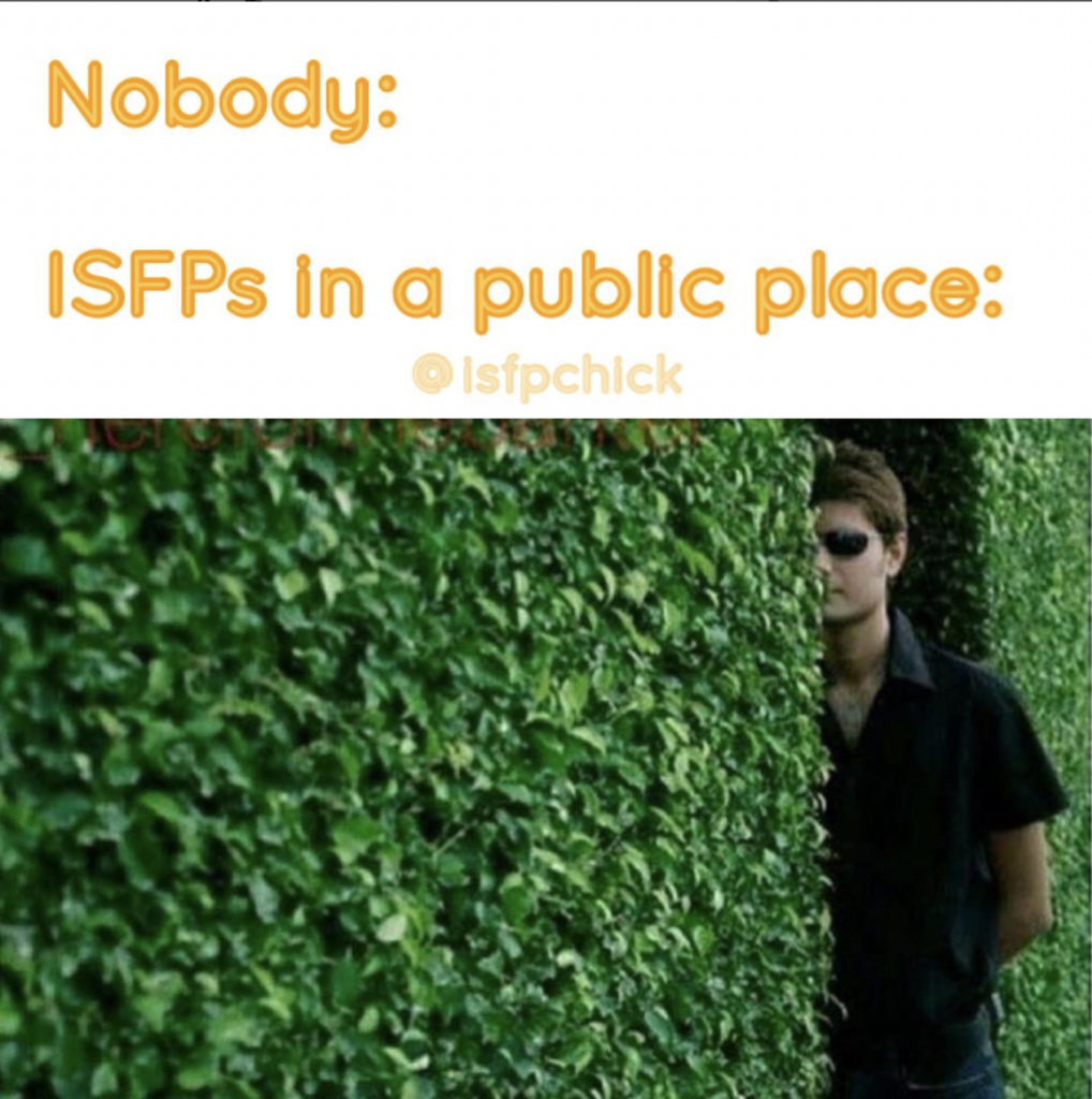 ISFP Meme - Introvert