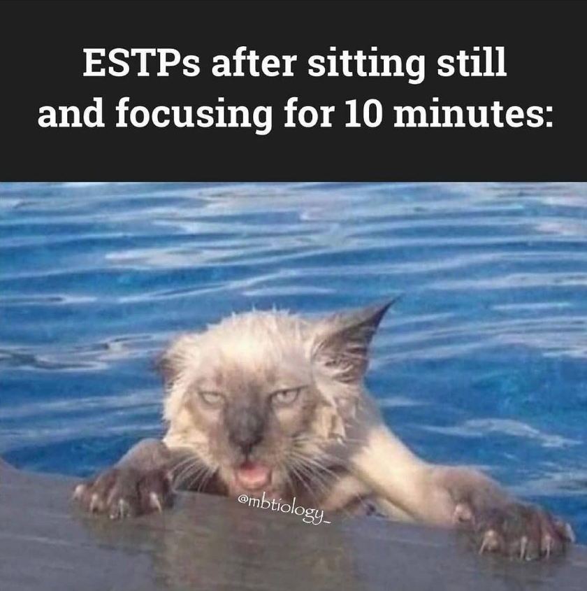 ESTP Meme - trouble focusing
