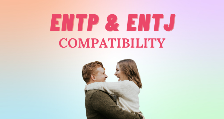 Fel MBTI Personality Type: ENTJ or ENTP?