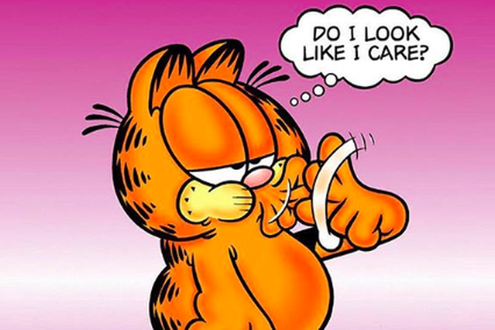 Garfield the Cat Personality Type, Zodiac Sign & Enneagram