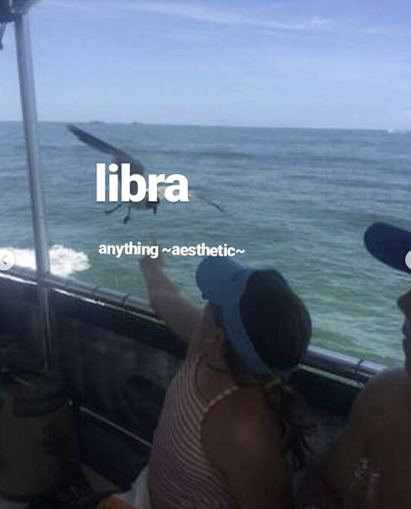 Libra meme: love aesthetics
