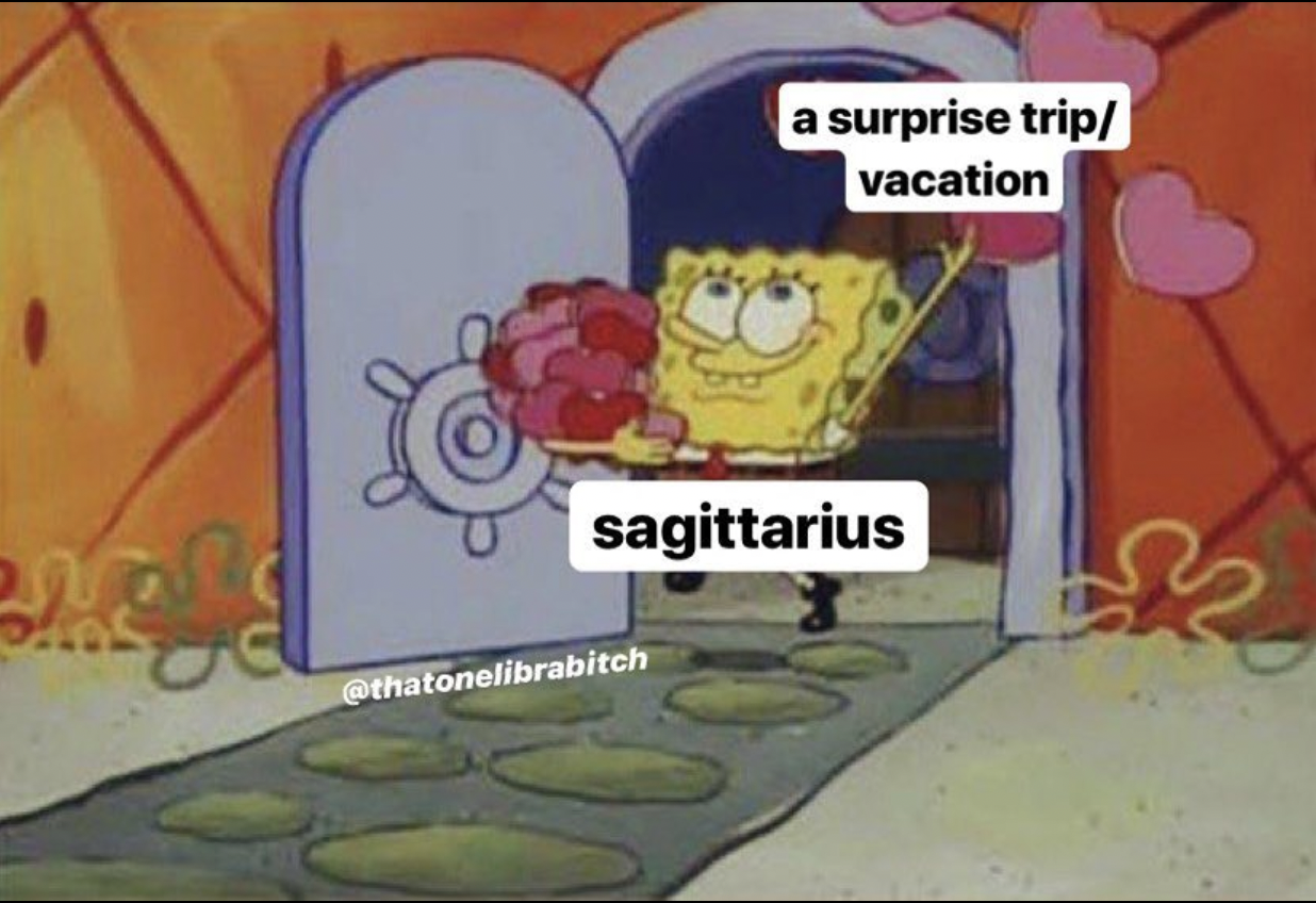 Funny And Relatable Sagittarius Memes So Syncd