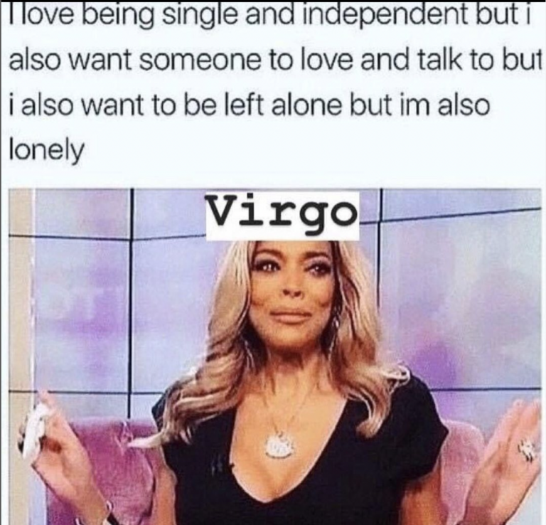 28 Funny and Relatable Virgo Memes | So Syncd