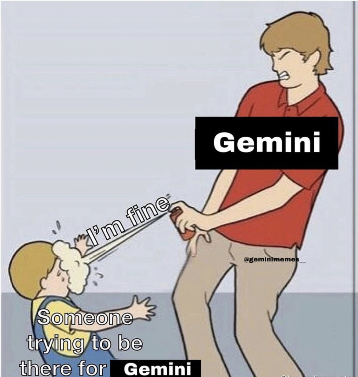 28 Funny And Relatable Gemini Memes So Syncd Dating And Personality 