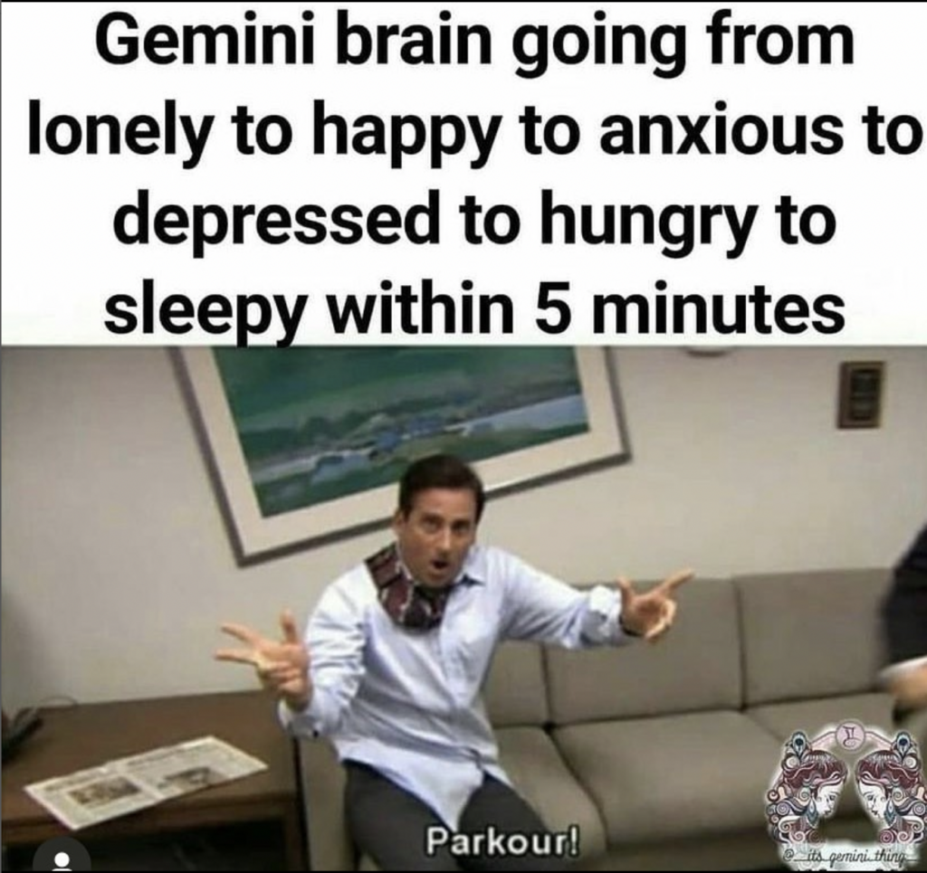 Gemini memes: fast brain mood swings