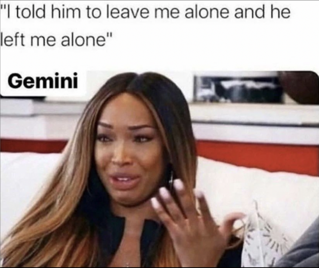 Gemini memes: i told him to leave me along and he left me alone