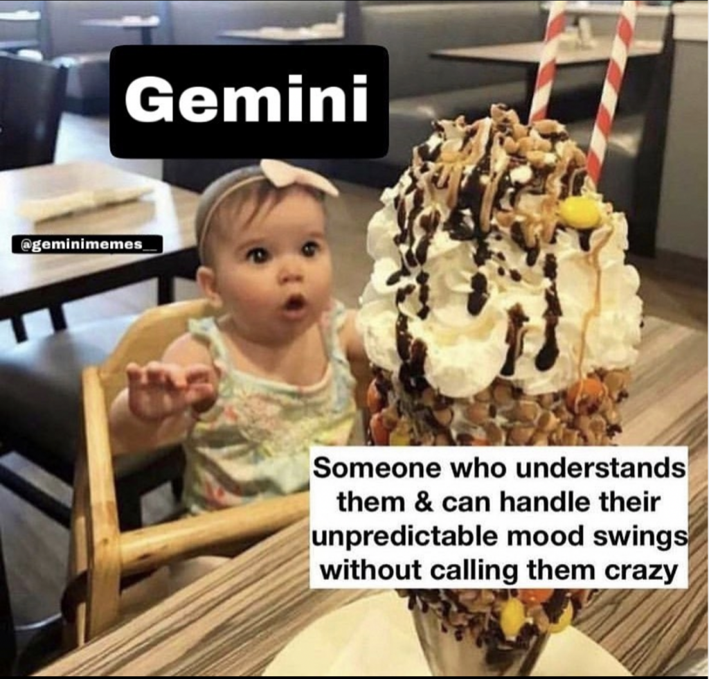 Gemini memes: need someone who understands them