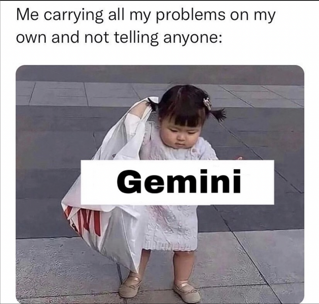 Gemini memes: not telling people my problems