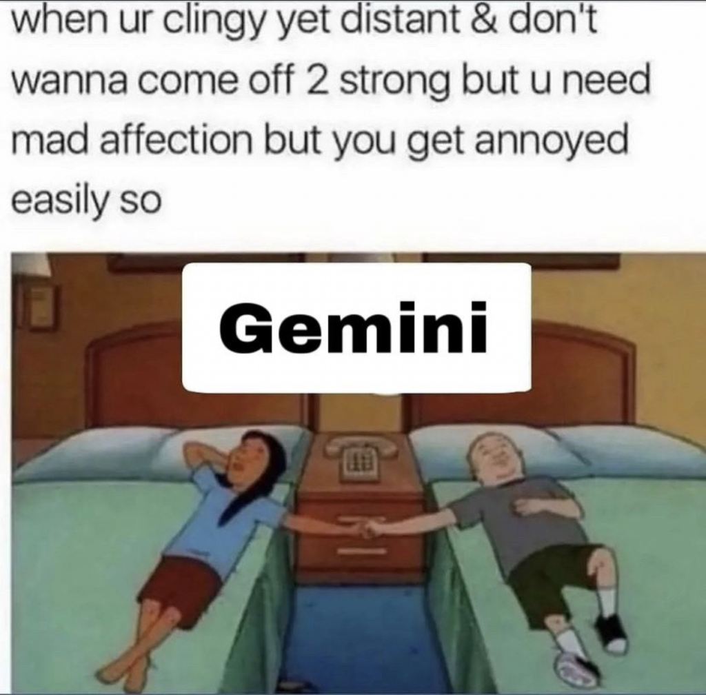 Gemini memes: need alone time but also need attention