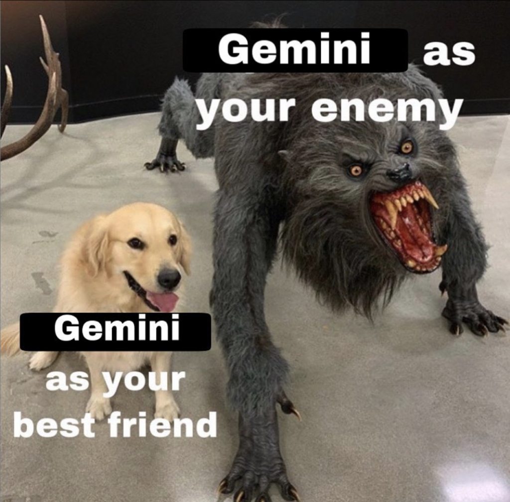 Gemini memes: geminis are good friends and scary enemies