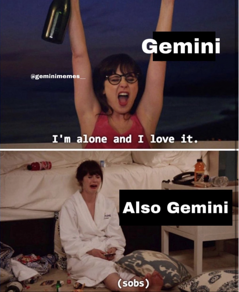 Gemini memes: introverted extrovert