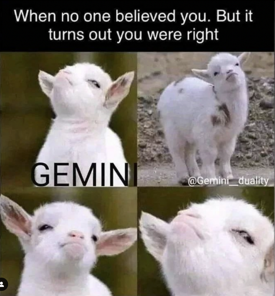 Gemini memes: when no one believed you but you were right.