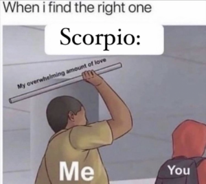 28 Funny and Relatable Scorpio Memes | So Syncd