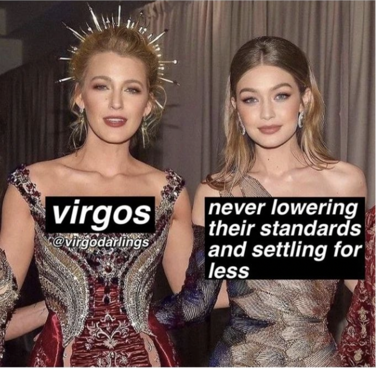 28 Funny and Relatable Virgo Memes | So Syncd