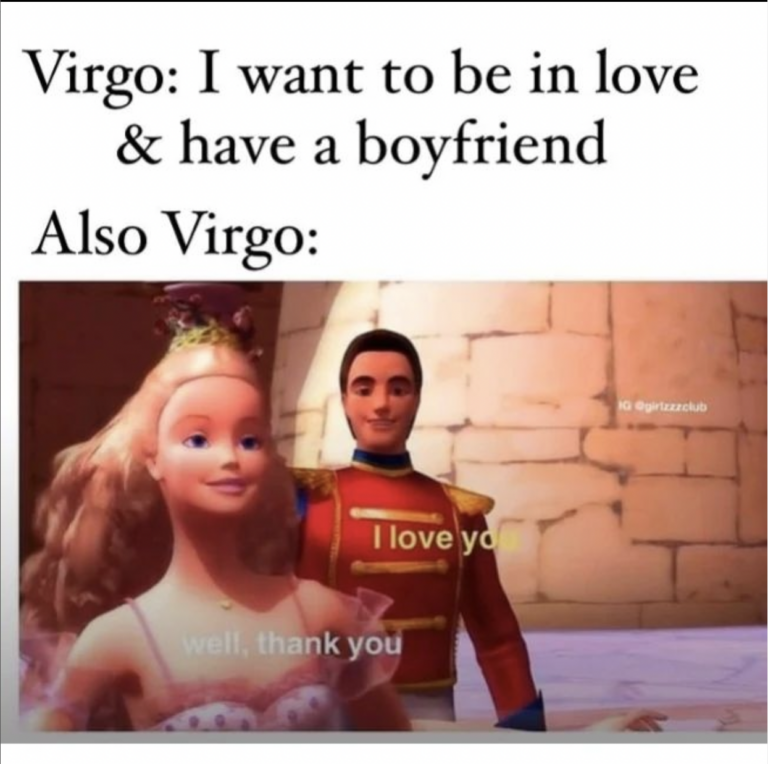 28 Funny and Relatable Virgo Memes | So Syncd