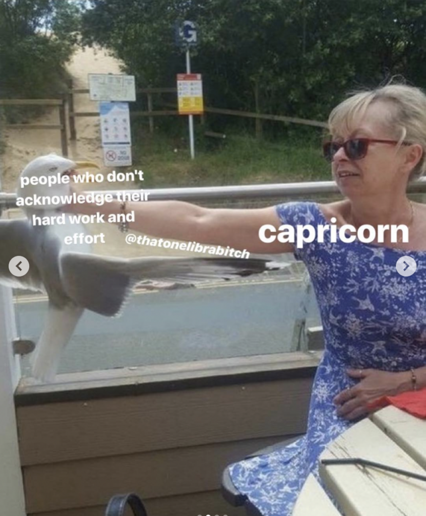 Capricorn meme: hate people who don't acknowledge their effort and work