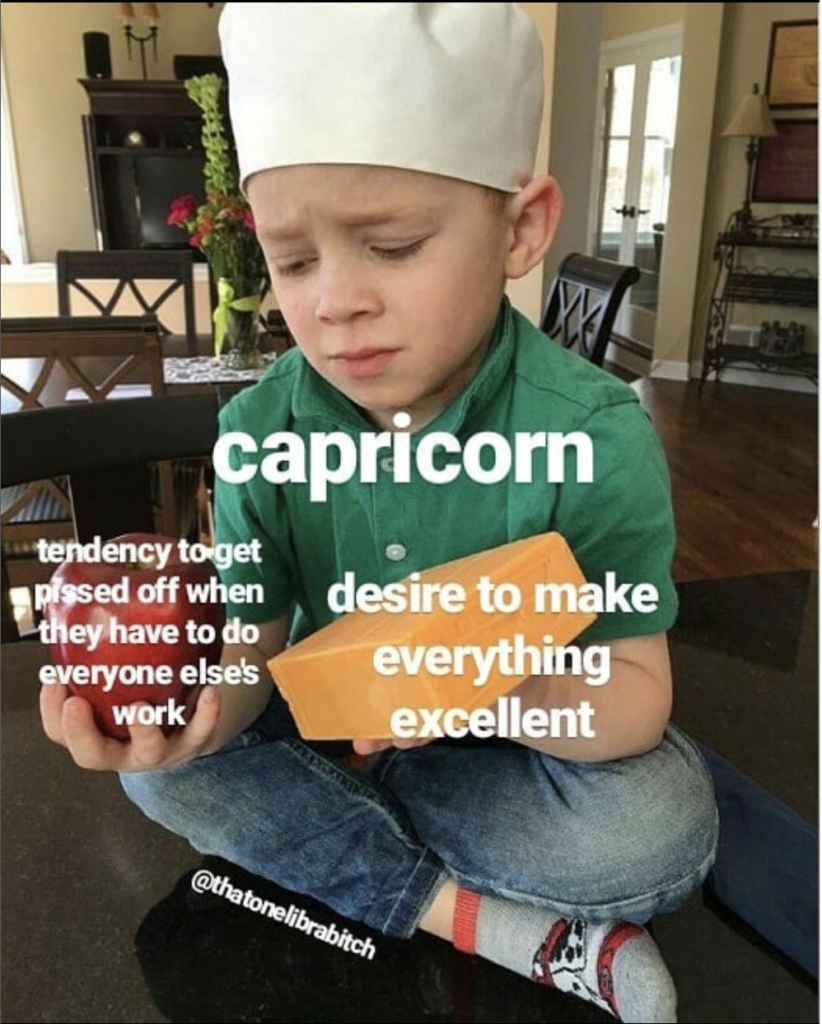 Capricorn meme: want to do everything to their levels but also too busy